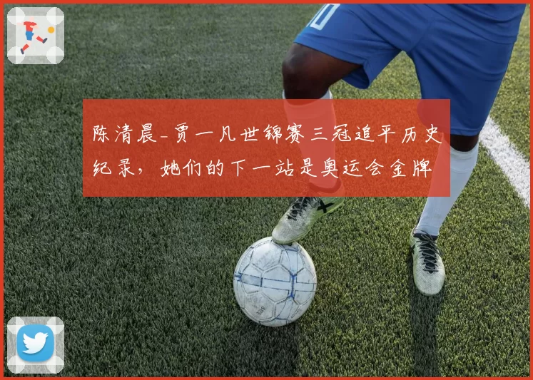 陈清晨_贾一凡世锦赛三冠追平历史纪录,她们的下一站是奥运会金牌吗?